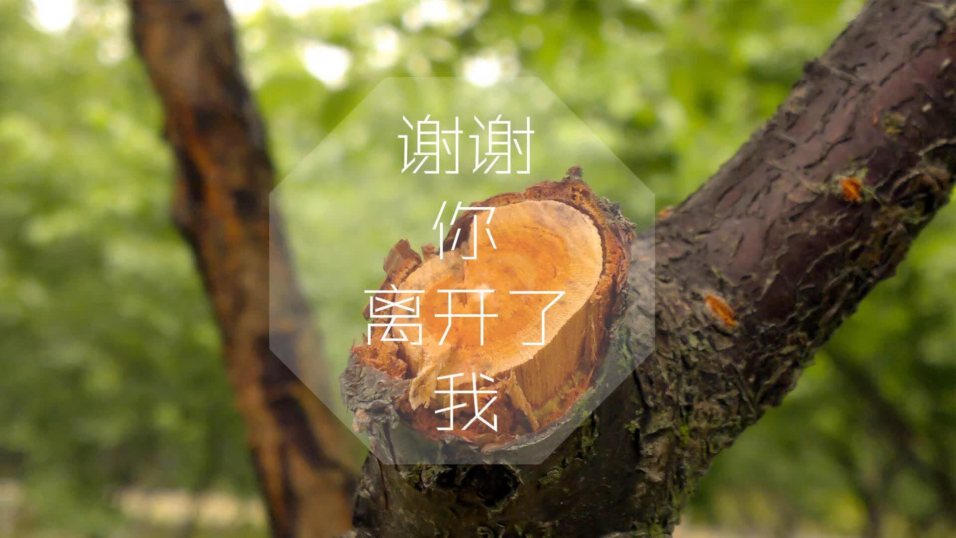 2026 体育教育风口：体教融合背景下的中考体育满分攻略全集。，体教融合政策解读